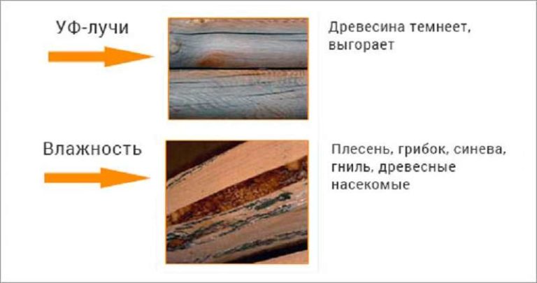 Повреждение древесины ультрафиолетовыми лучами и влажностью